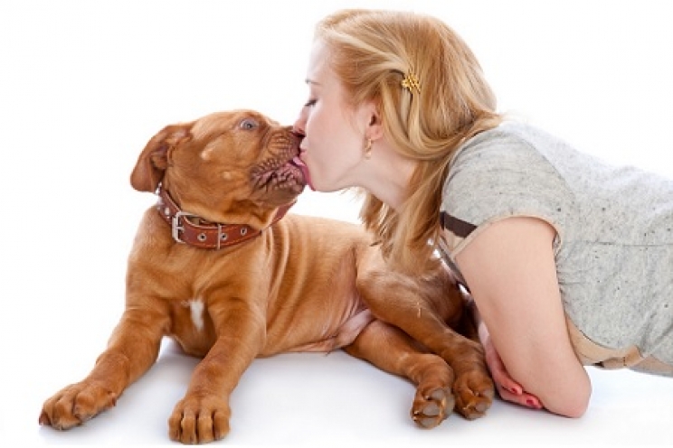 immagine-il-bacio-di-fido-potrebbe-avere-gli-stessi-benefici-dello-yogurt