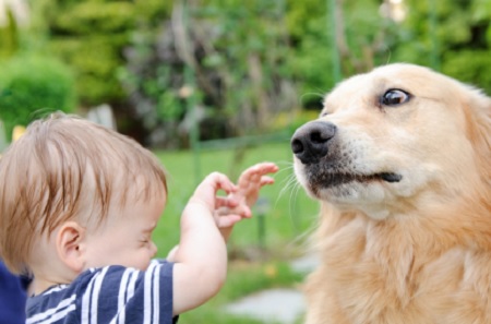 cane spaventato paura bambino