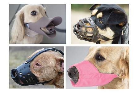 tipi di museruola cane